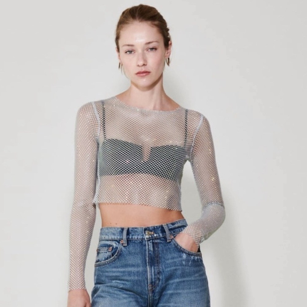 NWT - Zara - Shimmer Mesh Crop Top